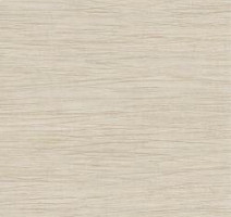 Линолеум Taralay Initial Comfort 0829 Filament Cream фото 1 | FLOORDEALER